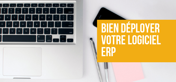 image article Livre Blanc:  Bien déployer votre projet ERP